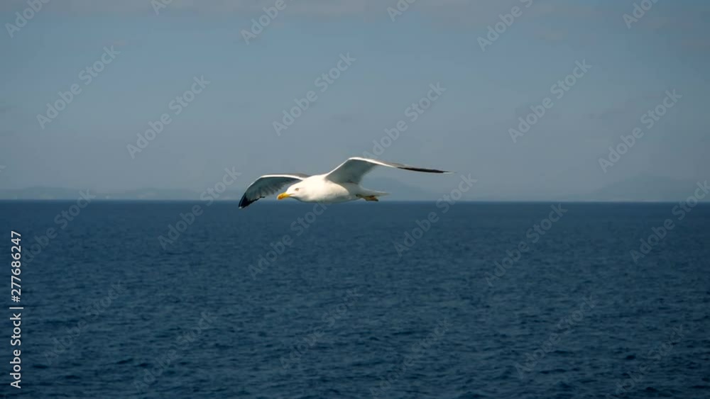 Seagulls flying against the blue sky. Flock of birds floating on air currents of wind. Big seagull soaring over the Mediterranean sea. Greece. Slow motion. HD Seagulls flying against the blue sky. Flock of birds floating on air currents of wind. Big seagull soaring over the Mediterranean sea. Greece. Slow motion. HD