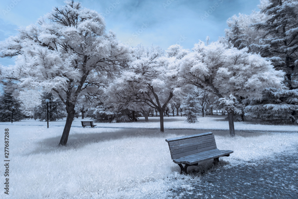 wall landscape infrared photo amazing nature lake with reflection white and blue.