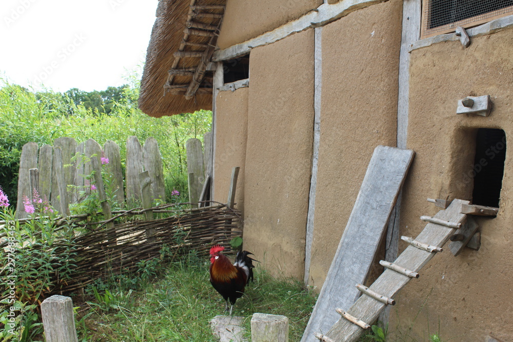Naklejka premium Haithabu, Hedeby the Viking village