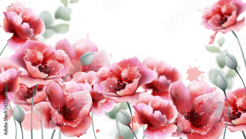 Poppy pink flowers background Vector watercolor. Summer floral decor frames