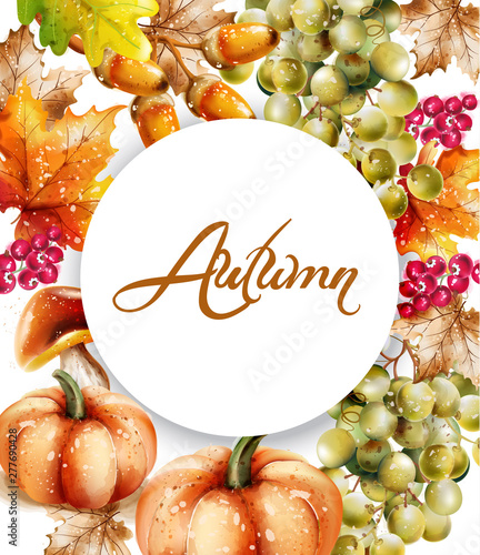 Autumn fall vegetables Vector watercolor. pumpkin, sunflower and mushrooms il...