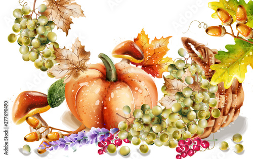 Autumn fall vegetables Vector watercolor. pumpkin, sunflower and mushrooms il...