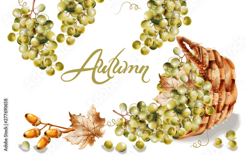 Autumn card Vector watercolor. Fall harvest grapes basket illustrations