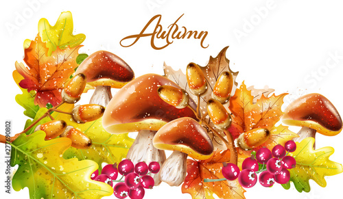 Autumn fall vegetables Vector watercolor. harvest forest mushrooms illustrations