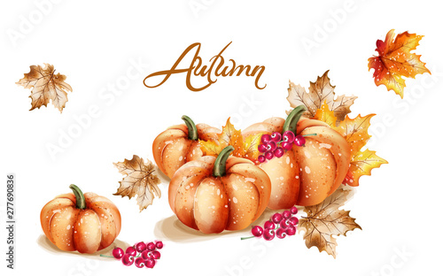 Autumn fall vegetables Vector watercolor. pumpkin, sunflower and mushrooms il...