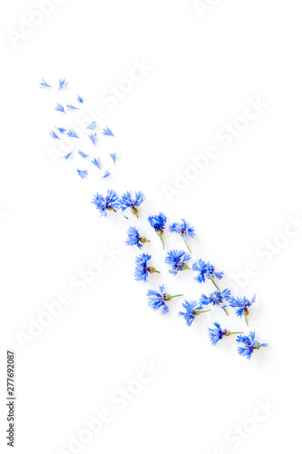 Fototapeta Naklejka Na Ścianę i Meble -  Summer design for blog with blue cornflowers on white background top view copyspace