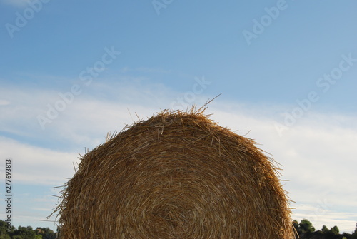 bale of straw in a field