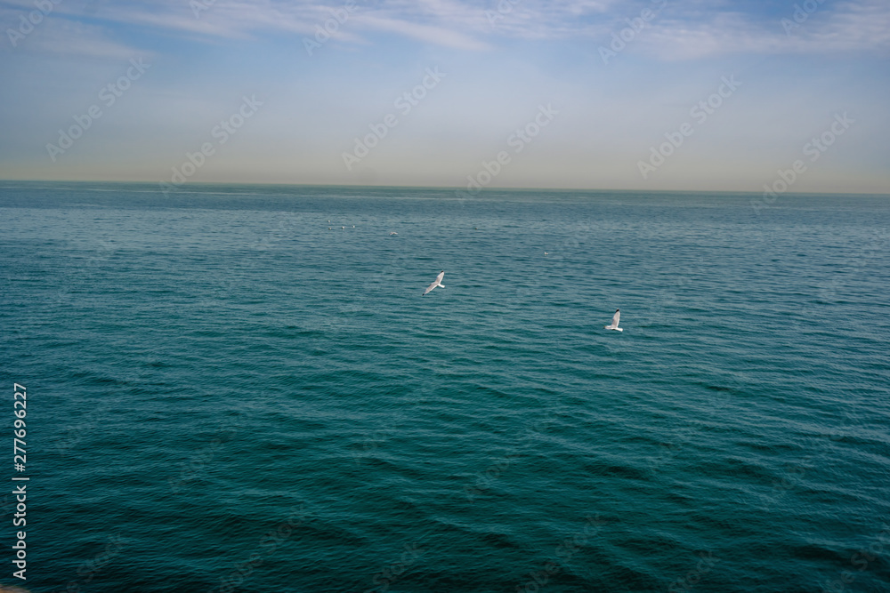 Birds flying across teal blue ocean. Beautiful scene