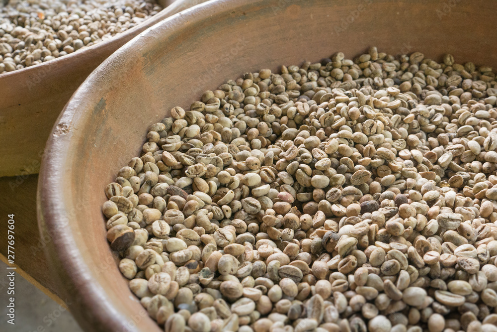 Obraz premium Luwak Coffee Beans