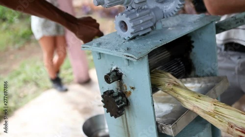 Making juice of sugar cane photo