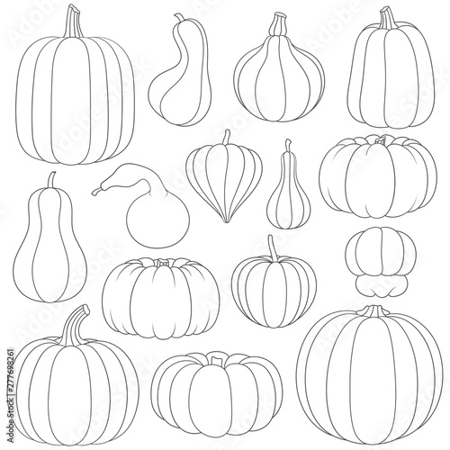 Set of black and white images with pumpkins of different types and shapes. Isolated vector objects on white background.