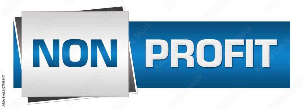 Non Profit Blue Grey Horizontal Non Profit Blue Grey Horizontal