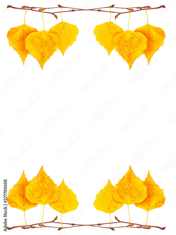 Bright colorful autumn leaves Bright colorful autumn leaves