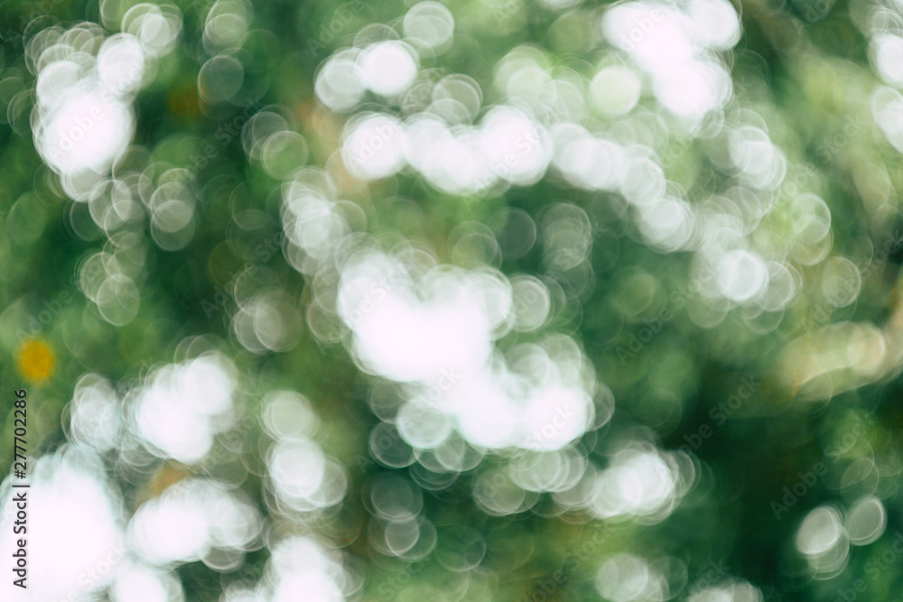 Sunny abstract green nature background, Blur park with bokeh light , nature, garden, spring and summer season Sunny abstract green nature background, Blur park with bokeh light , nature, garden, spring and summer season