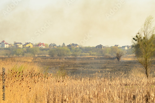 coastal zone of marsh creek  strong smoke from fire of liana overgrowth. Spring fires of dry reeds dangerously approach houses of village by river Cleaning fields of reeds  dry grass. Natural disaster