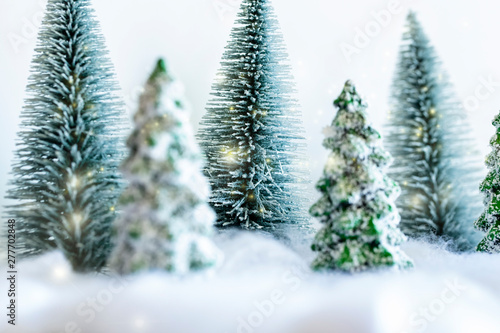 冬の森林と雪と緑と白バック © minianne