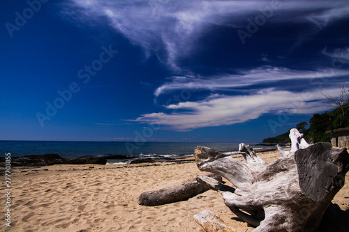 Close up of driftwood against blue sky on lonely beach on tropical island Ko Lanta, Thailand