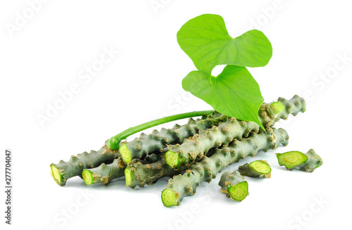 pile of mooseed herb on white background photo