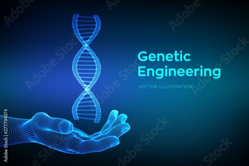 DNA sequence in hand. Wireframe DNA molecules structure mesh. DNA code editable template. Science and Technology concept. Vector illustration.