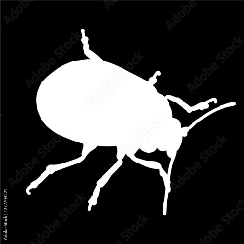 blatt käfer silhouette