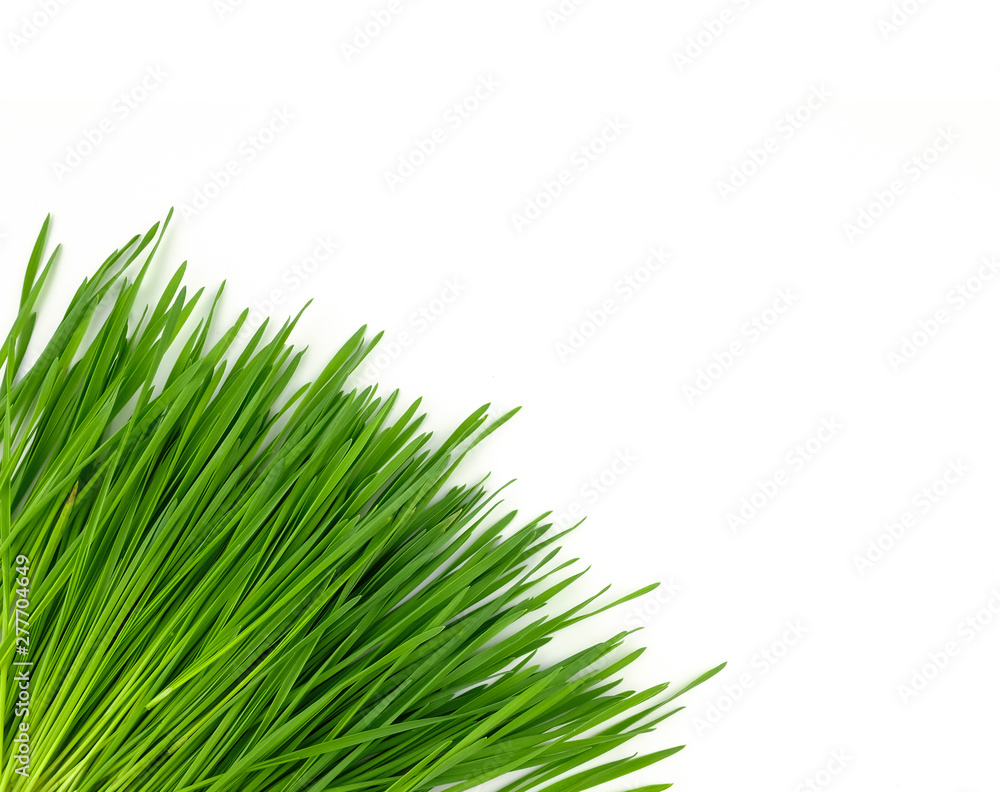 wheat grass put down on white Stock Photo Adobe Stock