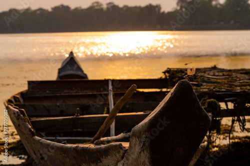 a dragonfly on a board of a ruined boat