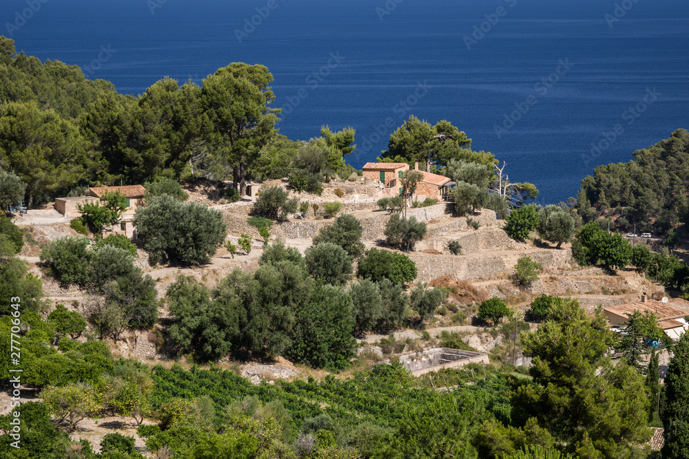 Mallorca Terrassen bei Estellencs