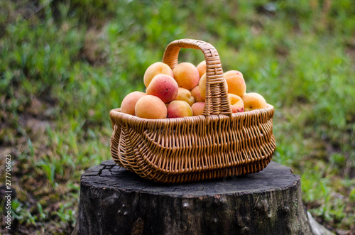 apricots in a wicker basket