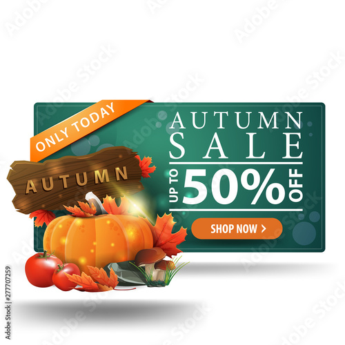 Modern autumn discount green 3D banner with button, harvest of vegetables and a wooden sign