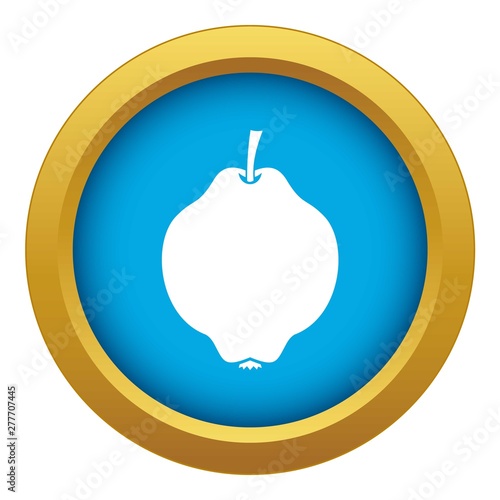 Quince fruit icon blue vector isolated on white background for any design