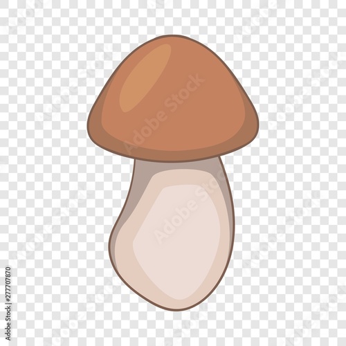 Boletus mushroom icon. Cartoon illustration of boletus mushroom vector icon for web design