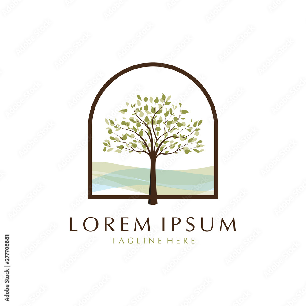 Obraz premium Tree leave branch window logo