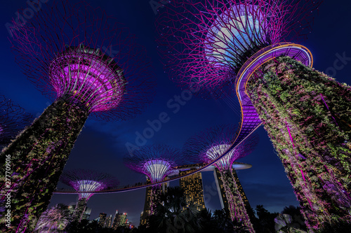 Singapur Super Tree bei Nacht