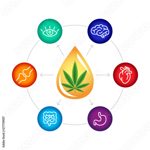 CBD oil benefits, medical uses for cbd oil, brain , heart, stomach, intestines, articulations, eyes