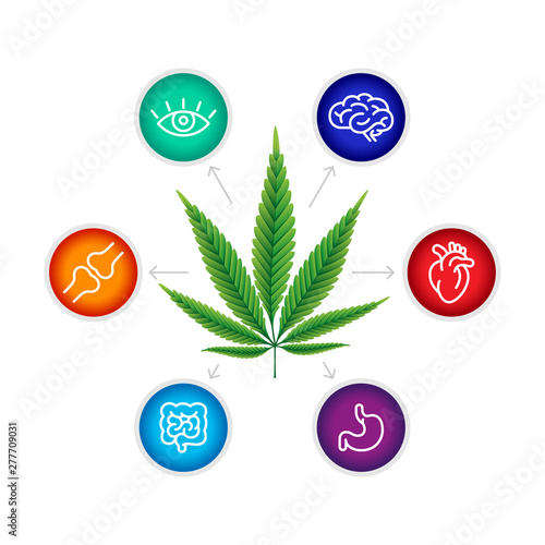 CBD oil benefits, medical uses for cbd oil, brain , heart, stomach, intestines, articulations, eyes