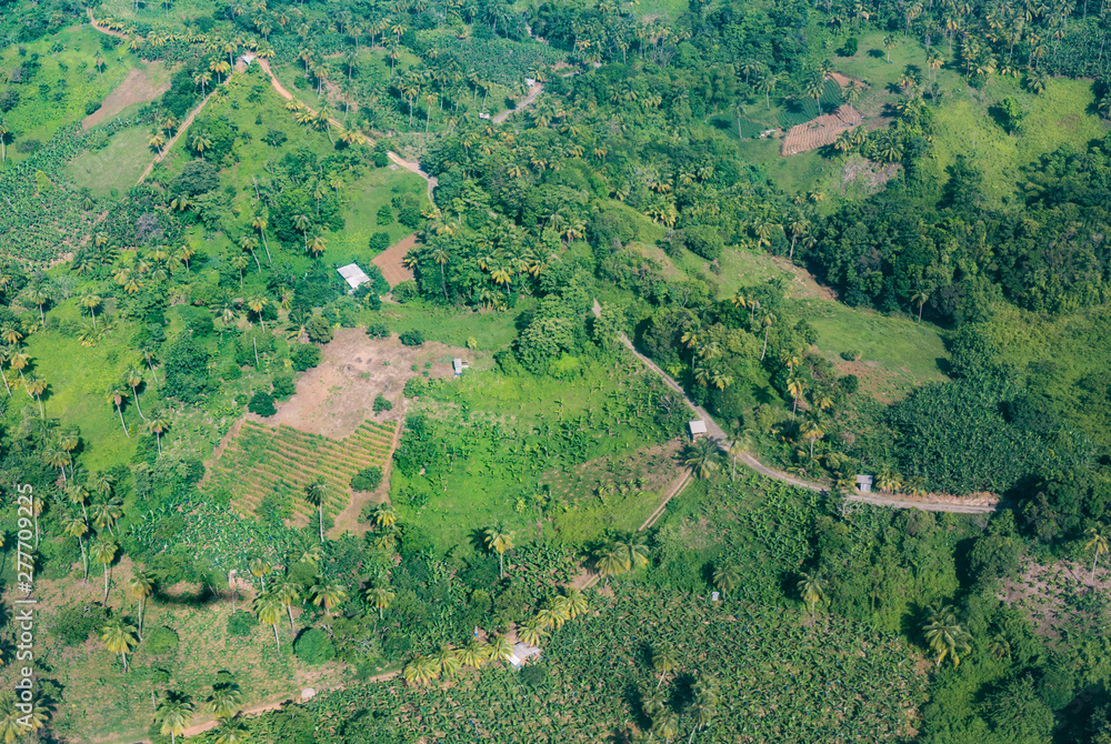 agriculture aerial in the jungle of  Dominica