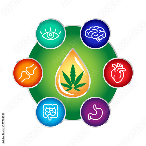 CBD oil benefits, medical uses for cbd oil, brain , heart, stomach, intestines, articulations, eyes