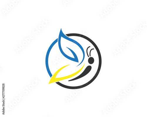 Vector - Butterfly conceptual simple, colorful icon. Logo. Vector illustration