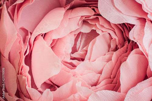 Floral pink peony from corrugated cardboard close up bud and petals as decoration, decoration or background for cover and postcard
