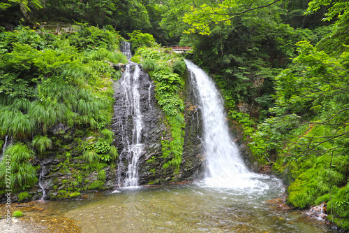 Fototapeta Naklejka Na Ścianę i Meble -  【山形県 日本の観光名所】白銀の滝