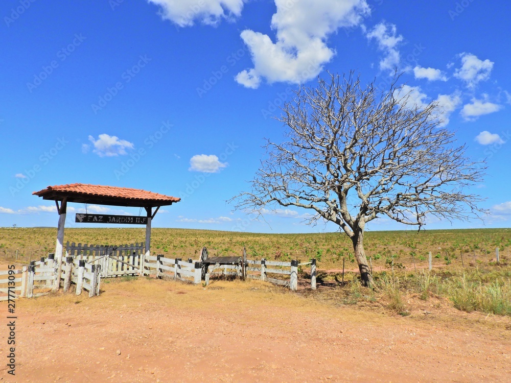Countryside scene at Bom Jardim Village, Nobres, Mato Grosso, Brazil. Great landscape. Travel destination. Vacation travel. Countryside scene at Bom Jardim Village, Nobres, Mato Grosso, Brazil. Great landscape. Travel destination. Vacation travel.