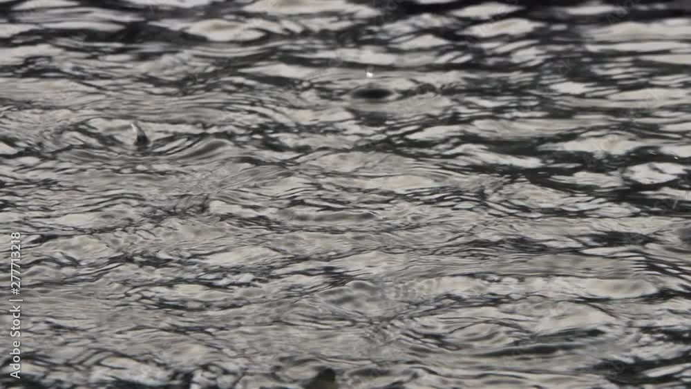 falling rain drops in a puddle of water. falling rain drops in a puddle of water.