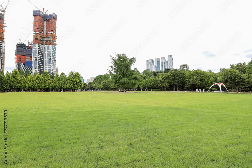 Landscape/Green lawn field with Trees