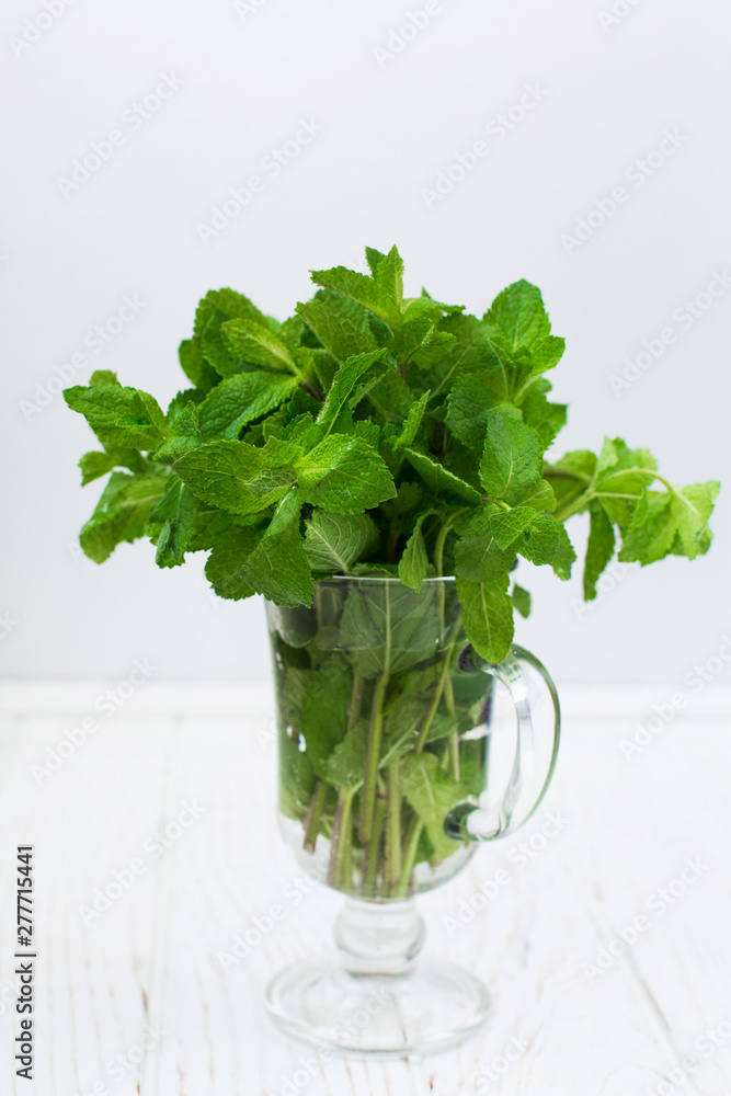 Transparent glass with a bouquet of fresh mint stands on a white wooden background with scuffs Transparent glass with a bouquet of fresh mint stands on a white wooden background with scuffs