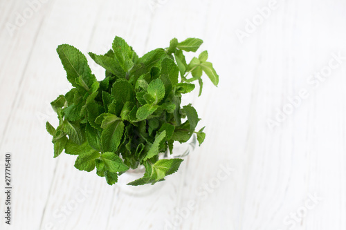 A bouquet of fresh green mint stands in the center of a white wooden background with scuffs