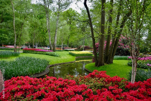 Tulip Gardens, Keukenhof Netherlands