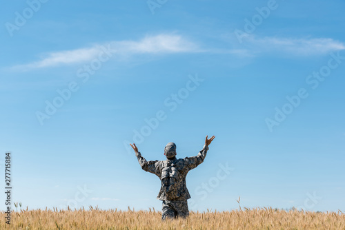 back view of soldier in military uniform standing with outstretched hands in field with golden wheat