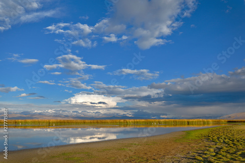 Beautiful landscape at sunset on the shores of Lake Junin