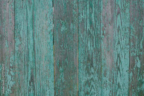 Old rustic wooden fence with shabby and peeling turquoise paint.