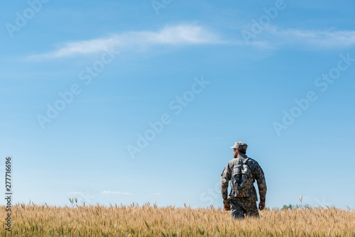Military man with backpack standing in field with golden wheat
